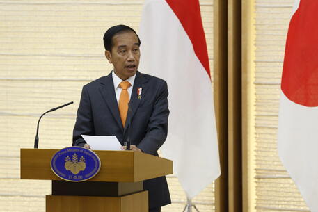 Il presidente dell'Indonesia Joko Widodo © EPA