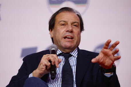 Maurizio Leo, viceministro dell'Economia e delle Finanze © ANSA