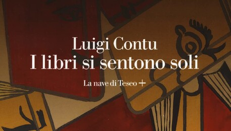 La copertina de I libri si sentono soli di Luigi Contu (ANSA)
