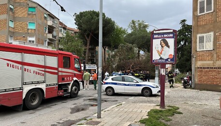 Maltempo, uomo morto per la caduta di un albero a Reggio Calabria (ANSA)