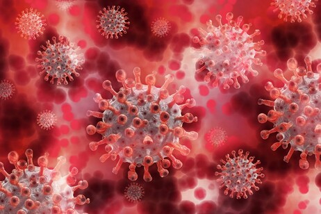 Nuovo vaccino in polvere per prevenire la trasmissione del virus SarsCoV2 (fonte: Pixabay)