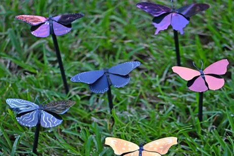 Sono leggerissime e sfruttano un fenomeno simile a quello osservato sulle ali delle farfalle, le vernici supersottili ispirate alla fisica quantistica (fonte: Università della Florida Centrale)