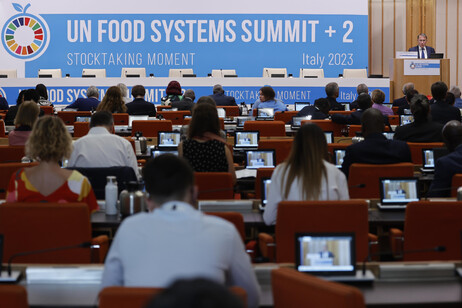 Cirielli all'evento Fao 'Space technology for Food systems transformation'
