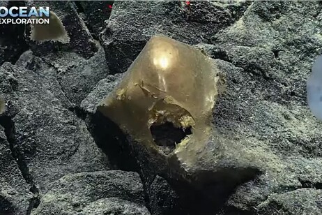 Il misterioso oggetto scoperto nei fondali del Golfo dell'Alaska (fonte: Ocean Exploration/NOAA)