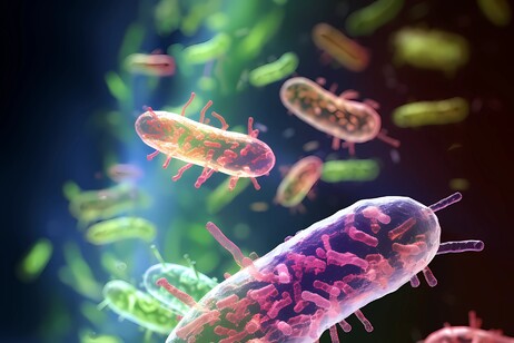 In alcuni casi, gli antibiotici aumentano il numero di super-batteri, ma ciò dipende anche da altri