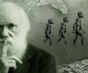 Il 12 febbraio è la Giornata dedicata a Charles Darwin, padre della teoria dell'evoluzione (fonte: Tim Bryant, da Wikipedia)