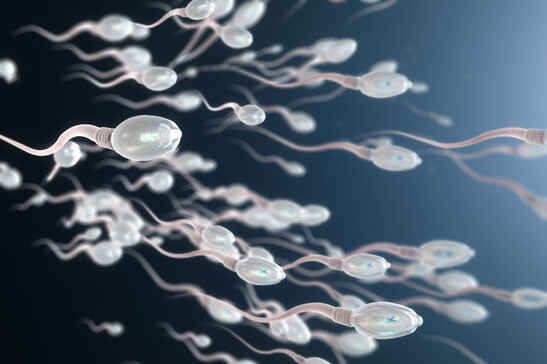 Rappresentazione artistica di spermatozoi (fonte: Christoph Burgstedt, da iStock)
