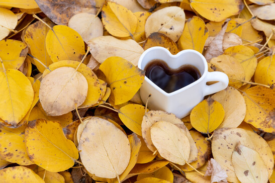 Foglie cadute e cioccolata calda per il mood d'autunno foto iStock.