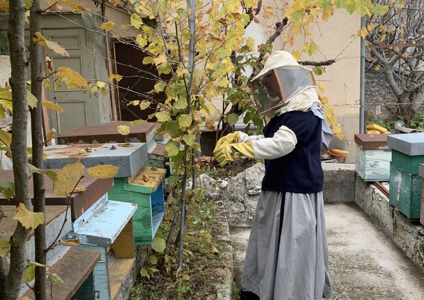 Una monaca di Santa Rita da Cascia con le api