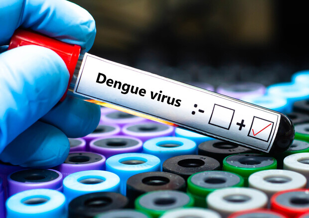 Dengue (ANSA)