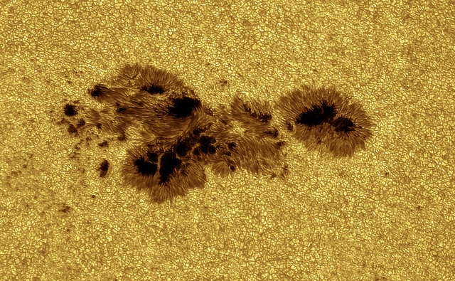 Particolare del Sole, in un periodo di piena attività (fonte: Alessandro Bianconi, Dolianova, CA)