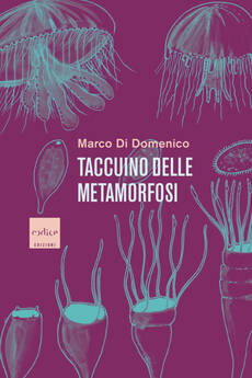 ‘Taccuino delle metamorfosi’ di Marco Di Domenico (Codice Edizioni, 292 pagine, 21 euro) (ANSA)