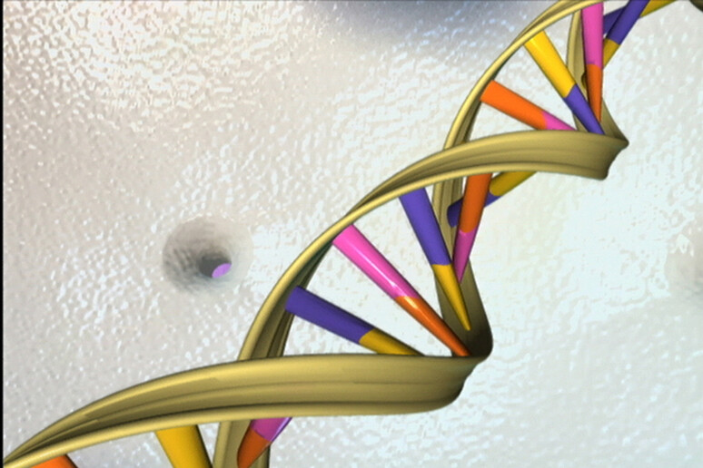 La struttura a doppia elica del Dna (fonte: National Human Genome Research Institute) - RIPRODUZIONE RISERVATA