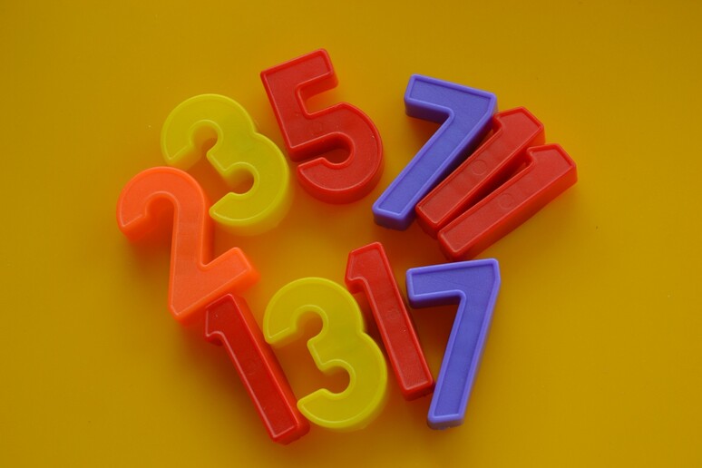 I numeri primi sono i mattoni della matematica (fonte: Monica Nardone) - RIPRODUZIONE RISERVATA