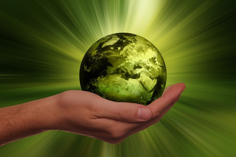 Il 2022 anno ricerca di base per lo sviluppo sostenibile (Fonte: Geralt, Pixabay) - RIPRODUZIONE RISERVATA