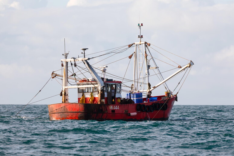 Brexit mette a rischio business milionario del tonno in Ue - RIPRODUZIONE RISERVATA