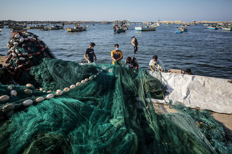Lockdown premia i consumi di pesce allevato in Italia - RIPRODUZIONE RISERVATA
