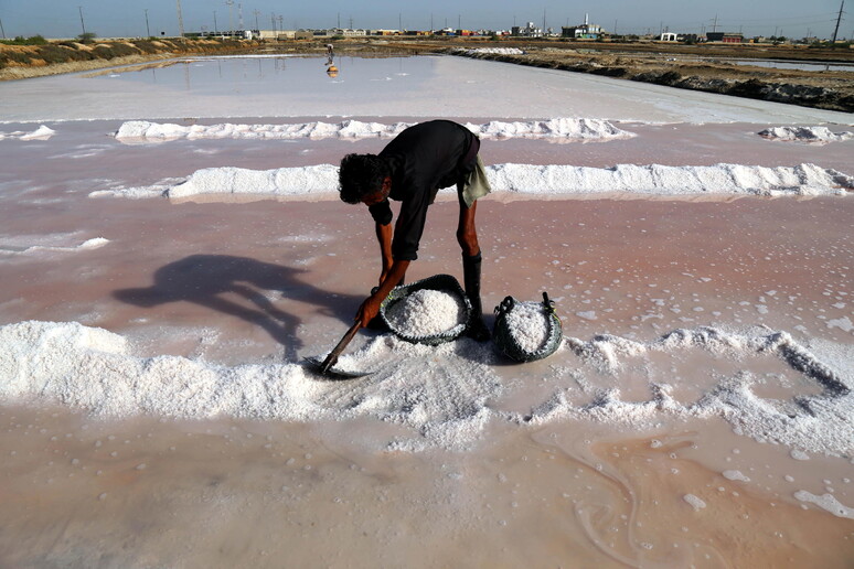 Sea salt in Karachi © ANSA/EPA