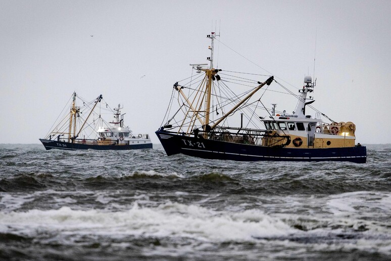 Corte Ue conferma stop a pesca elettrica - RIPRODUZIONE RISERVATA