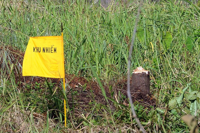 Una bandierina segnaletica di una zona affetta da Agent Orange da decontaminare, Vietnam - RIPRODUZIONE RISERVATA