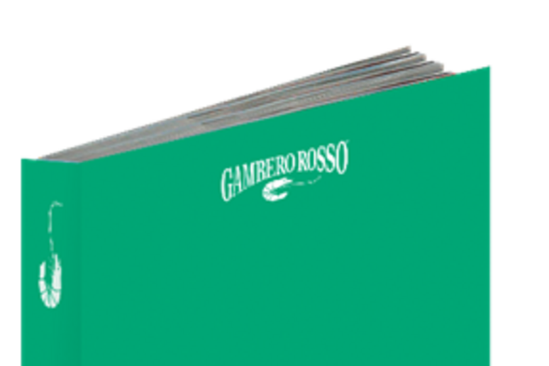 La nuova guida di Gambero Rosso Italia all’Aria Aperta realizzata in partnership con Enel Green Power (Fonte: Gambero Rosso) - RIPRODUZIONE RISERVATA