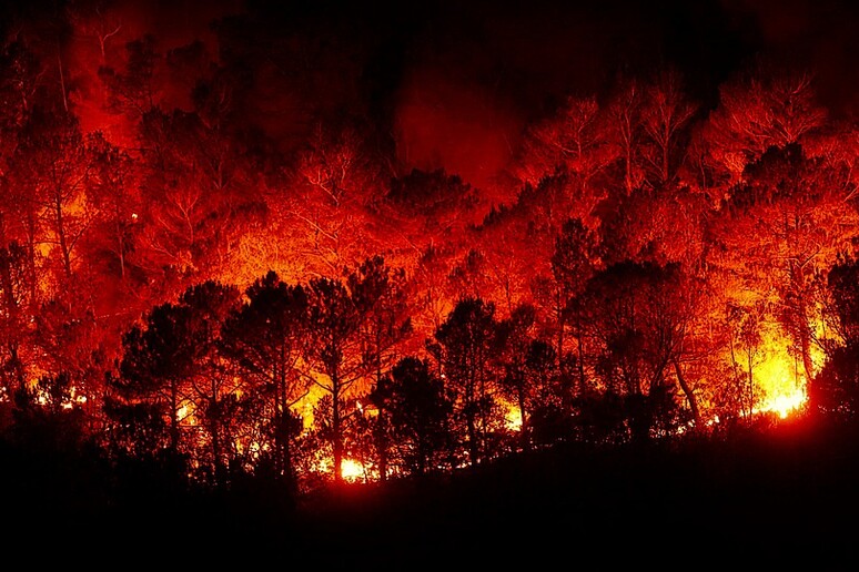 Le sostanze inquinanti emesse dagli incendi boschivi minacciano il Mediterraneo (fonte: Pixabay) - RIPRODUZIONE RISERVATA