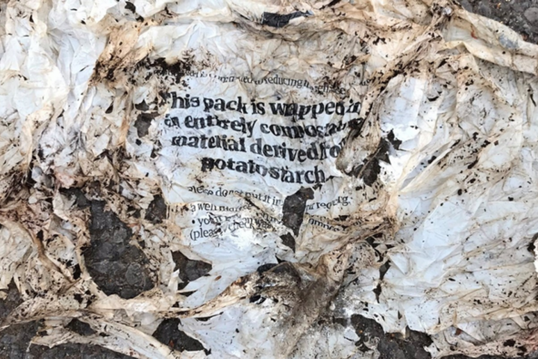 Scoperto un grosso difetto nella plastica certificata come compostabile anche a casa: il 60% non si decompone davvero (Fonte: Citizen scientist image from www.bigcompostexperiment.org.uk) - RIPRODUZIONE RISERVATA