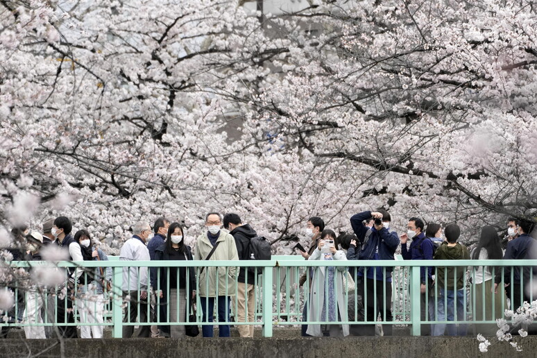 Tokyo in una foto di archivio © ANSA/EPA