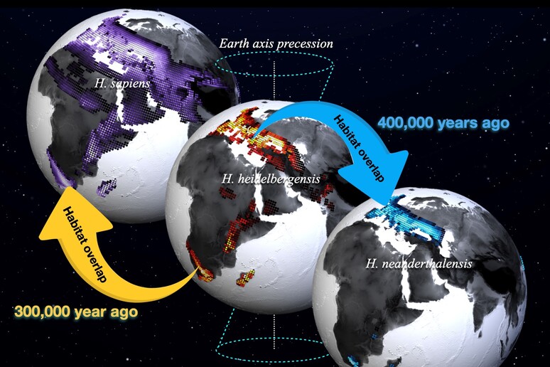 Gli habitat preferiti da H. sapiens (in viola), da H. heidelbergensis (in rosso) e da H. neanderthalensis (in blu), calcolati grazie alla più estesa simulazione del clima degli ultimi 2 milioni di anni (Fonte: Institute for Basic Science) - RIPRODUZIONE RISERVATA