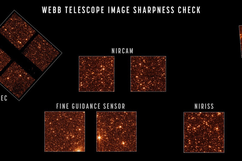 Webb ha fotografato una parte della Grande Nube di Magellano (fonte: Nasa/StScI) - RIPRODUZIONE RISERVATA