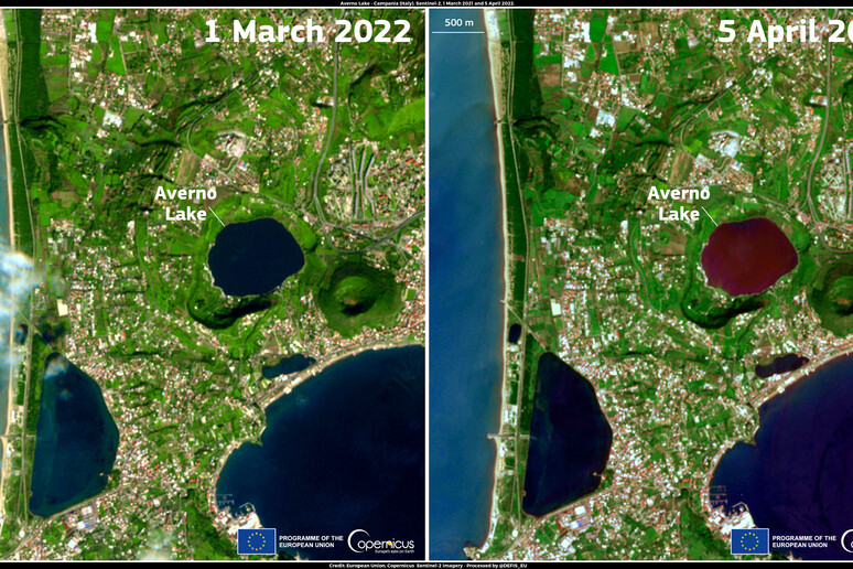Il lago Averno fotografato dal satellite Sentinel 2 il primo marzo e il 5 aprile (fonte: European Union, Copernicus Sentinel-2 imagery) - RIPRODUZIONE RISERVATA