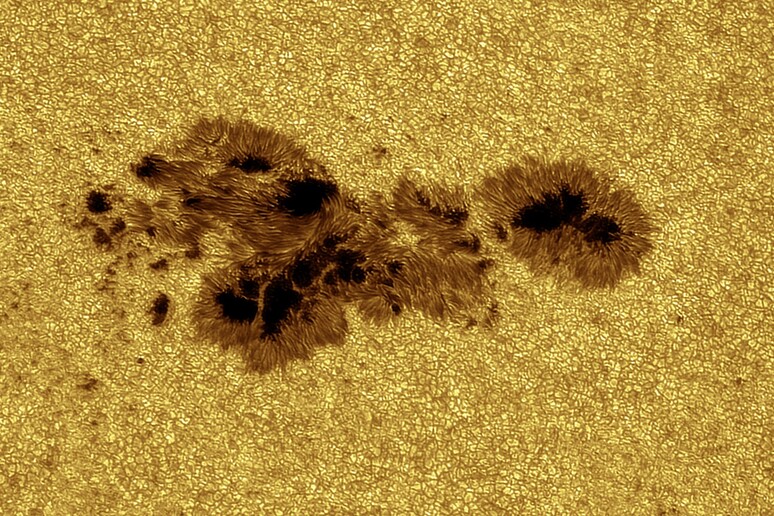 Particolare del Sole, in un periodo di piena attività (fonte: Alessandro Bianconi, Dolianova, CA) - RIPRODUZIONE RISERVATA