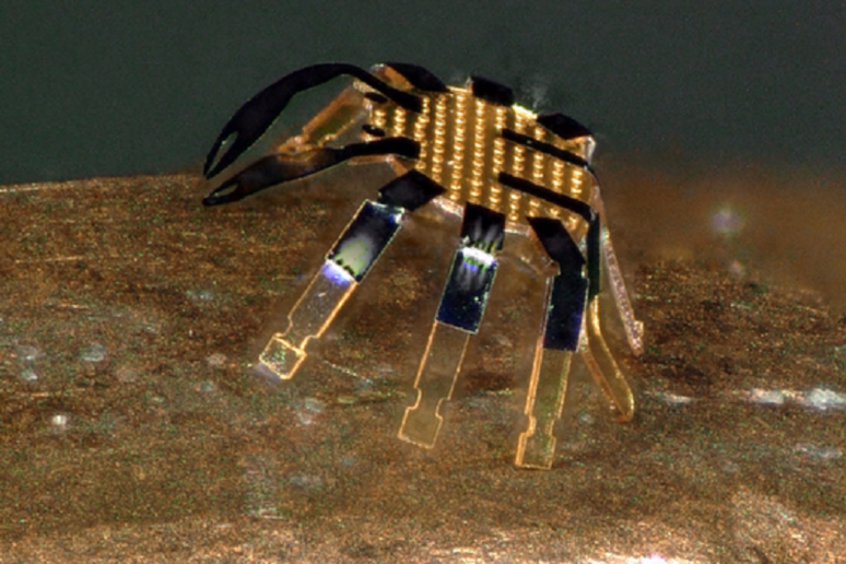 Ricorda un granchio ed è largo mezzo millimetro il più piccolo robot autonomo, ottenuto nella Northwestern University (fonte: Northwestern University) - RIPRODUZIONE RISERVATA