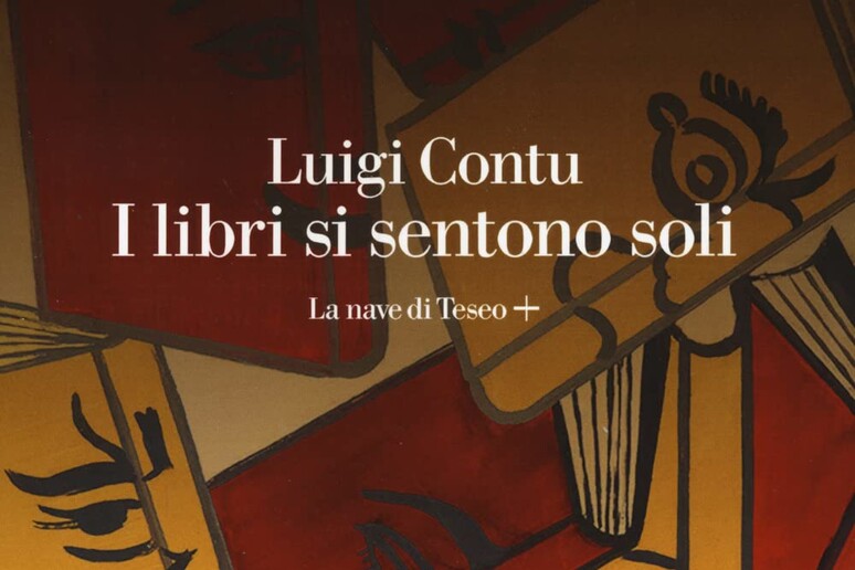 La copertina de I libri si sentono soli di Luigi Contu - RIPRODUZIONE RISERVATA