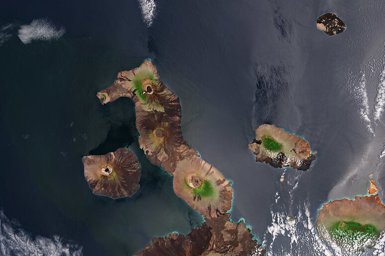 Le isole Galapagos con i loro cinque vulcani (il Sierra Negra è il quarto partendo dall 'alto)  (fonte: ESA, CC BY-SA 3.0 IGO) - RIPRODUZIONE RISERVATA
