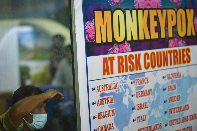 Vaiolo scimmie: Oms, emergenza sanitaria globale © ANSA/EPA