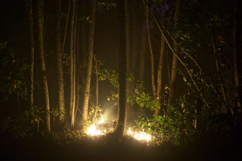 Un incendio nei boschi © ANSA/AFP