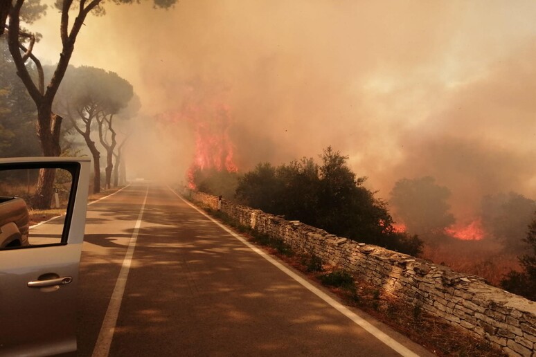 ++ Brucia pineta Castel del Monte, evacuati maniero e ville ++ - RIPRODUZIONE RISERVATA