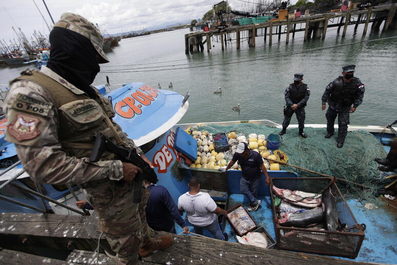 Fao, accordo contro la pesca illegale siglato da 100 Paesi © ANSA/EPA