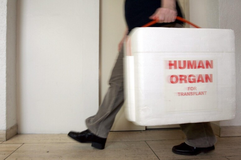 Trapianti: nel 2022 record di donazioni di organi, +3,7% - RIPRODUZIONE RISERVATA
