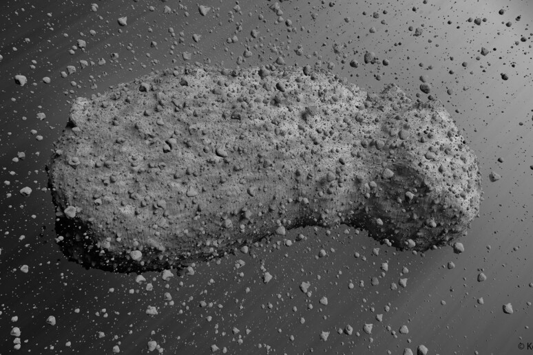 Rappresentazione artistica dell’asteroide Itokawa (fonte: Kevin M. Gill, Curtin University) - RIPRODUZIONE RISERVATA