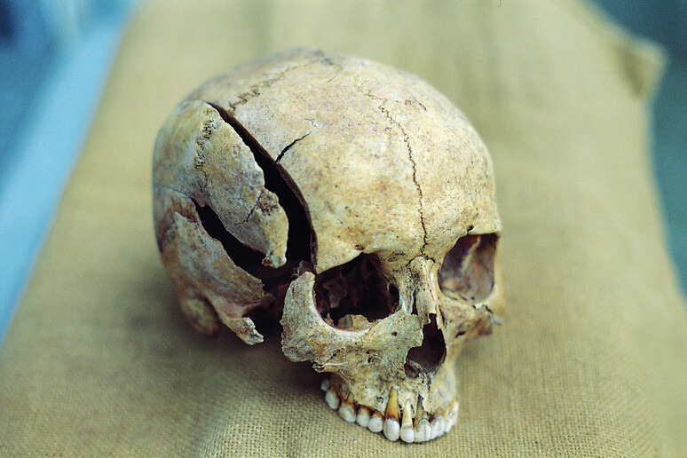 L’evoluzione della violenza nell’antichità svelata da oltre 3.500 scheletri trovati in Medio Oriente (fonte: Joachim Wahl/Università di Tubinga) - RIPRODUZIONE RISERVATA