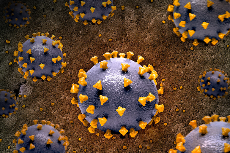 Particelle del virus SarsCoV2 stampate in 3D (fonte: NIAID, da Flickr) - RIPRODUZIONE RISERVATA