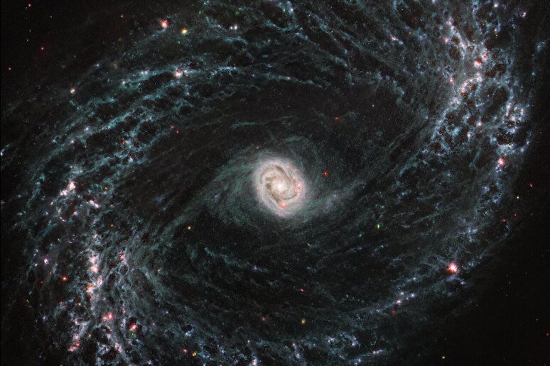 La galassia a spirale NGC 1433 fotografatadal telescopio Webb, ricca di stelle nascenti che emergono dalla fitta rete di gas e polveri (fonte: NASA, ESA, CSA, and J. Lee/NOIRLab, A. Pagan/STScI) - RIPRODUZIONE RISERVATA