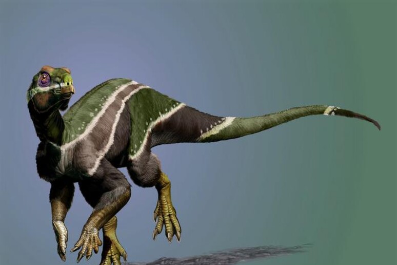 Rappresentazione artistica del nuovo dinosauro Iani smithi (fonte: J. Gonzalez) - RIPRODUZIONE RISERVATA
