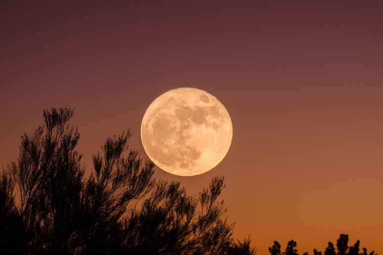L 'ultima Superluna del 2023 dà spettacolo (fonte: free via unsplash) - RIPRODUZIONE RISERVATA