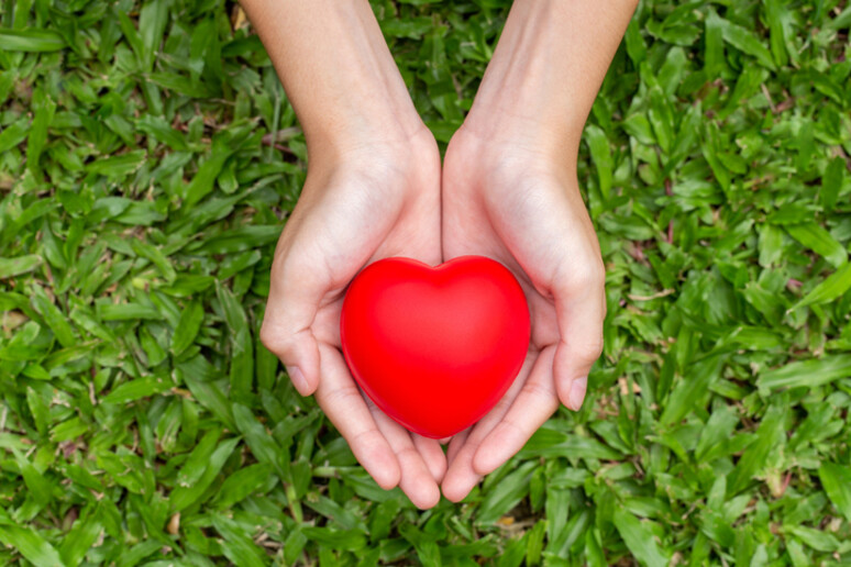 Malattie del cuore, lotta a otto fattori di rischio - RIPRODUZIONE RISERVATA