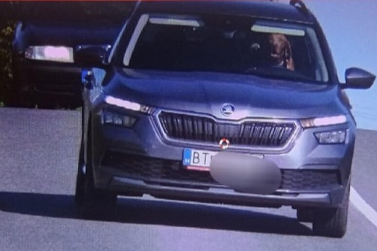 'Cane al volante ', la polizia slovacca multa il proprietario FACEBOOK Policia Slovenskej Repu - RIPRODUZIONE RISERVATA